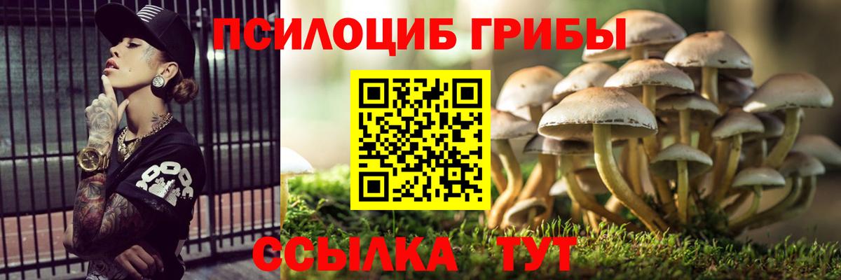 Псилоцибиновые грибы Magic Shrooms  Вход с VPN  Чебаркуль 